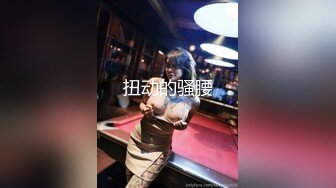 十一月新流出私房大神极品收藏商场女厕全景后拍系列黑衣小美女放个屁拉稀 (3)