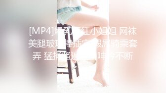 [MP4]爆乳网红小姐姐 网袜美腿玻璃棒插穴 假屌骑乘套弄 猛捅骚逼浪叫呻吟不断