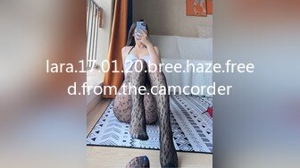 lara.17.01.20.bree.haze.freed.from.the.camcorder