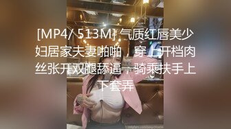 [MP4/ 513M] 气质红唇美少妇居家夫妻啪啪，穿上开档肉丝张开双腿舔逼，骑乘扶手上下套弄