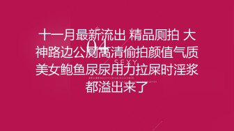 十一月最新流出 精品厕拍 大神路边公厕高清偷拍颜值气质美女鲍鱼尿尿用力拉屎时淫浆都溢出来了