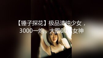 【锤子探花】极品清纯少女，3000一炮，大圈00后女神