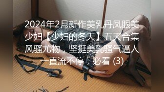 2024年2月新作美乳丹凤眼美少妇【少妇的冬天】五天合集风骚尤物，坚挺美乳骚气逼人一直流不停，必看 (3)