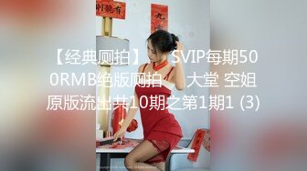 【经典厕拍】✅✅SVIP每期500RMB绝版厕拍❤️大堂 空姐原版流出共10期之第1期1 (3)