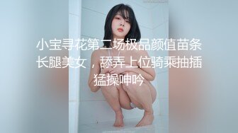 小宝寻花第二场极品颜值苗条长腿美女，舔弄上位骑乘抽插猛操呻吟