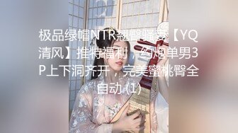 极品绿帽NTR翘臀骚妻【YQ清风】推特福利，约炮单男3P上下洞齐开，完美蜜桃臀全自动 (1)