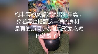 约丰满的女警姐姐出来车震，穿着黑丝搭配这丰满的身材 是真的顶啊，羞耻的形象吃鸡巴就毁了！