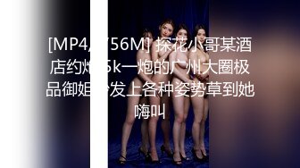 [MP4/ 756M] 探花小哥某酒店约炮 5k一炮的广州大圈极品御姐沙发上各种姿势草到她嗨叫