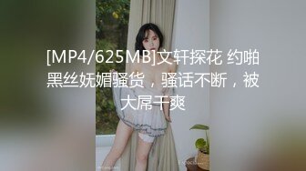 [MP4/625MB]文轩探花 约啪黑丝妩媚骚货，骚话不断，被大屌干爽