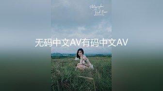 无码中文AV有码中文AV