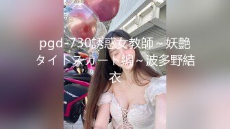 pgd-730誘惑女教師～妖艶タイトスカート編～波多野結衣