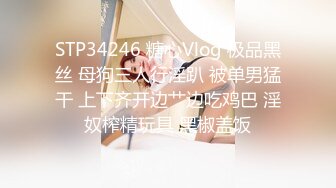 STP34246 糖心Vlog 极品黑丝 母狗三人行淫趴 被单男猛干 上下齐开边艹边吃鸡巴 淫奴榨精玩具 黑椒盖饭