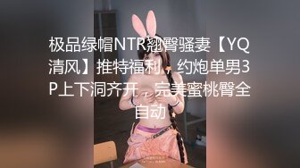 极品绿帽NTR翘臀骚妻【YQ清风】推特福利，约炮单男3P上下洞齐开，完美蜜桃臀全自动